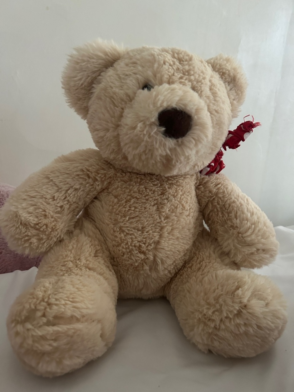 Plush Beige Teddy Bear Stuffed Animal for Kids